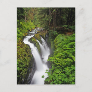 Sol Duc-Herfsten in het Nationaal Park van de Olym Briefkaart