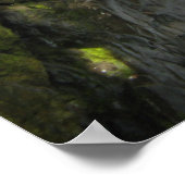 Sol Duc-Herfsten Poster (Hoek)