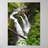 Sol Duc-Herfsten Poster (Voorkant)