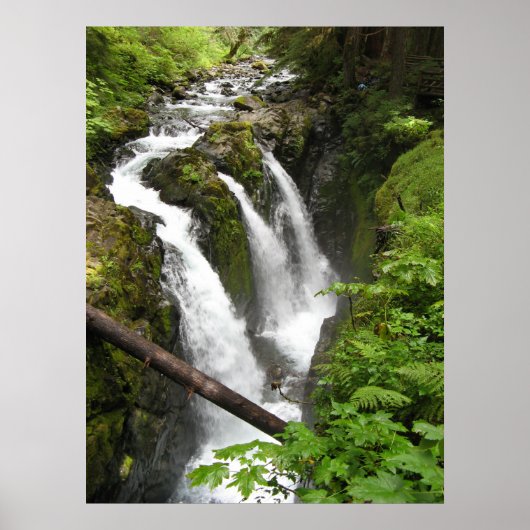 Sol Duc-Herfsten Poster (Voorkant)