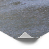 Sol Duc River Road door het bos Poster (Hoek)