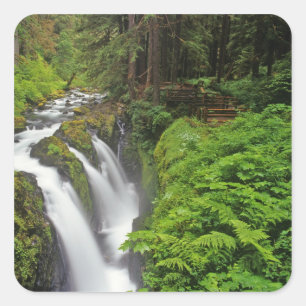 Sol Duc-watervallen in Olympic National Park in 2 Vierkante Sticker
