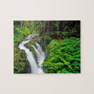 Sol Duc-watervallen in Olympic National Park in Legpuzzel