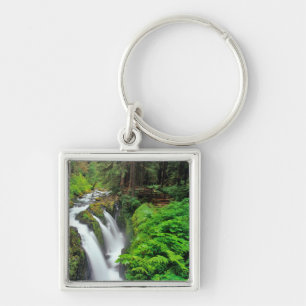 Sol Duc-watervallen in Olympic National Park in Sleutelhanger