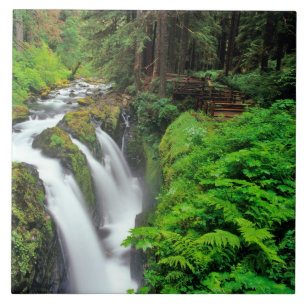 Sol Duc-watervallen in Olympic National Park in Tegeltje