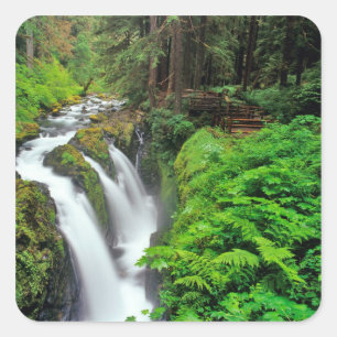 Sol Duc-watervallen in Olympic National Park in Vierkante Sticker