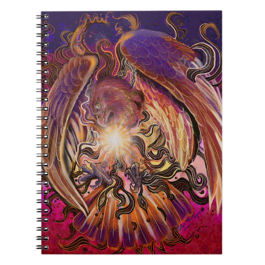 Solar Burst Hawk Notitieboek (Voorkant)