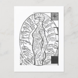 "Solar Chart: De microkosmos" Zodiac Astrology Briefkaart