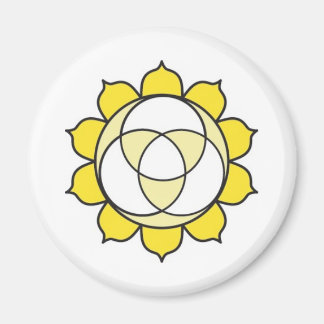 Solar Plexus Chakra Magnet Magneet