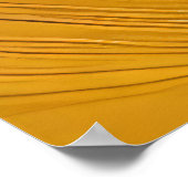 Solar Vortex Poster (Hoek)