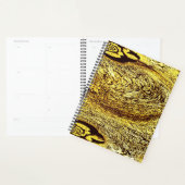 Solar vortex – spiraling infinity (Devant avec enveloppe)