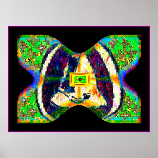SOLARiSBUTTERFLY Poster (Voorkant)