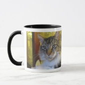 "Soldat de la cavalerie tasse du chat" (Gauche)
