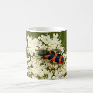 Soldat ou À damiers Beetle Bug Mug