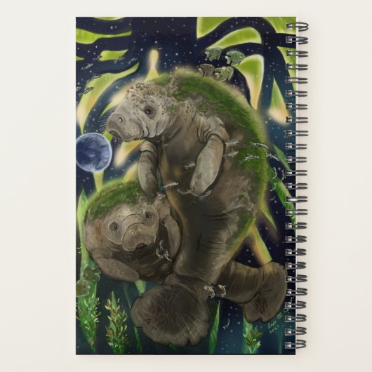 Solde fragile Manatee (Dos)