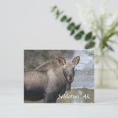 , Soldotna, AK Briefkaart (Staand voorkant)