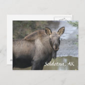 , Soldotna, AK Briefkaart (Voorkant / Achterkant)