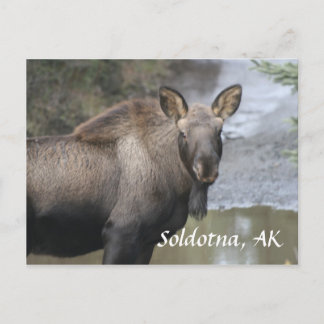 , Soldotna, AK Briefkaart