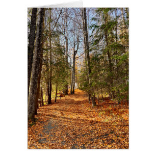 Soldotna Creek Park Autumn - 5" x 7" Art Kaart