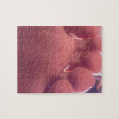 SOLE LEGPUZZEL (Horizontaal)