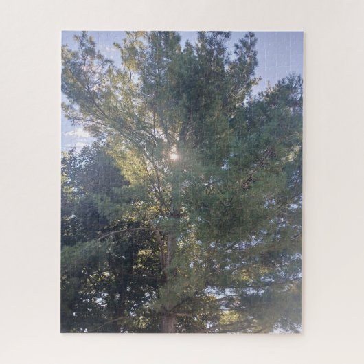 Soleil À Travers Le Puzzle Arbre (Vertical)