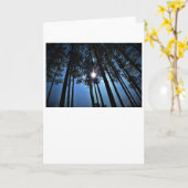 Soleil, carte (Fleur jaune)