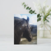 Soleil - Carte postale (Debout devant)