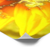 Soleil de floraison - Poster (Coin)