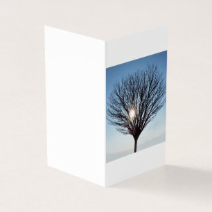 soleil d'hiver