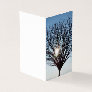 soleil d'hiver