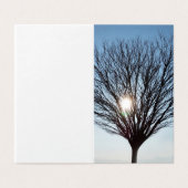 soleil d'hiver (Outside Unfolded)