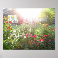 SOLEIL ET affiche ROSE