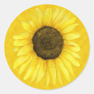Soleil sur un autocollant de bâton