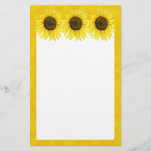 Soleil sur une papeterie de bâton