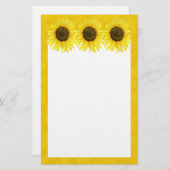 Soleil sur une papeterie de bâton (Devant / Derrière)