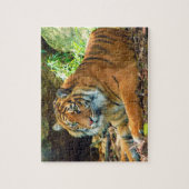 Solemn Tiger Puzzle Legpuzzel (Verticaal)