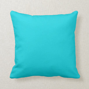 Solid Aqua Coussin