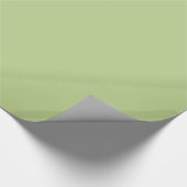 Solid Light Green Cadeaupapier (Hoek)