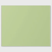 Solid Light Green Cadeaupapier (Vlak)
