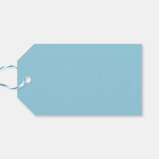 Solid Light Ice Blue Cadeaulabel (Achterkant Horizontaal)
