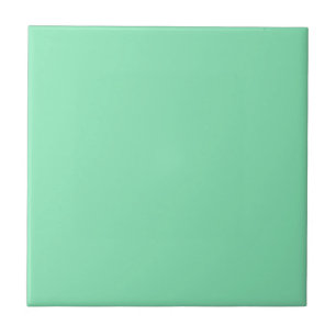 Solid Mint Green Ceramic Tegel Tegeltje