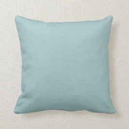 Solid Seafoam Green Decorative Pillow Kussen