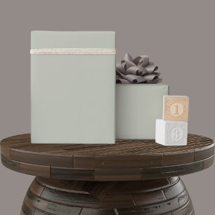 Solid Soft Light Pastel Misty Sage Green Kleur Cadeaupapier