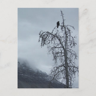 Solitaire Raven Briefkaart