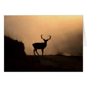 Solitaire rode stag-kaart