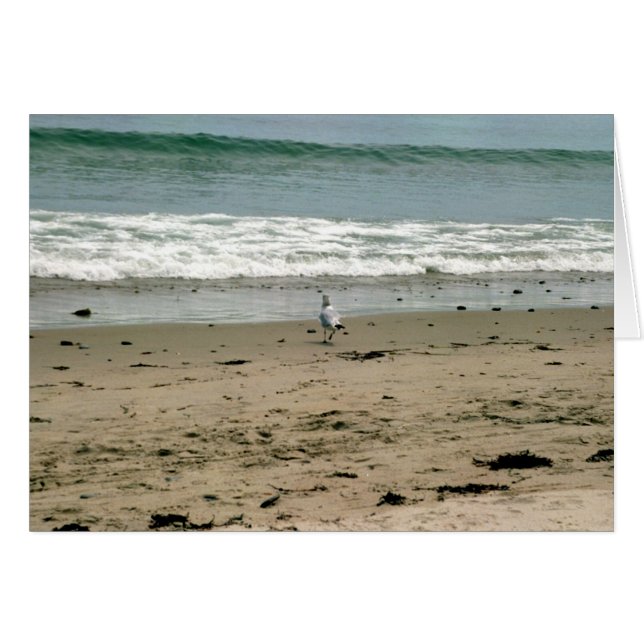 Solitaire sans toi (Devant horizontal)