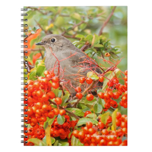 Solitaire stad van Townsend op de Pyracantha Notitieboek (Voorkant)