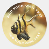 Solitaire Stripy Angelfish Onderwater aangepaste t Ronde Sticker (Voorkant)