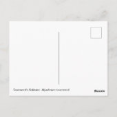 Solitaire Townsend Briefkaart (Achterkant)