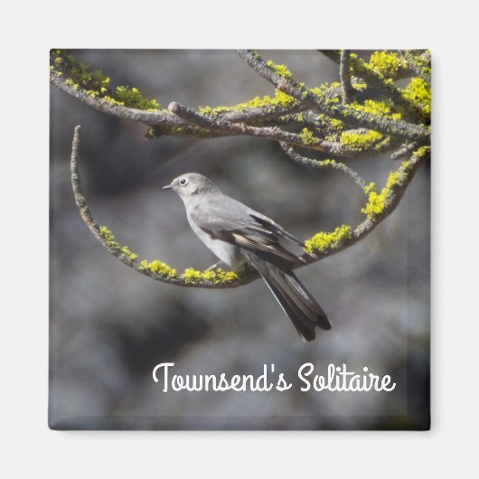 Solitaire Townsend Magneet (Voorkant)